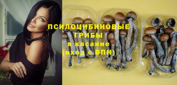 МДПВ Алексин