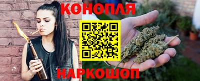 гашик Шахты